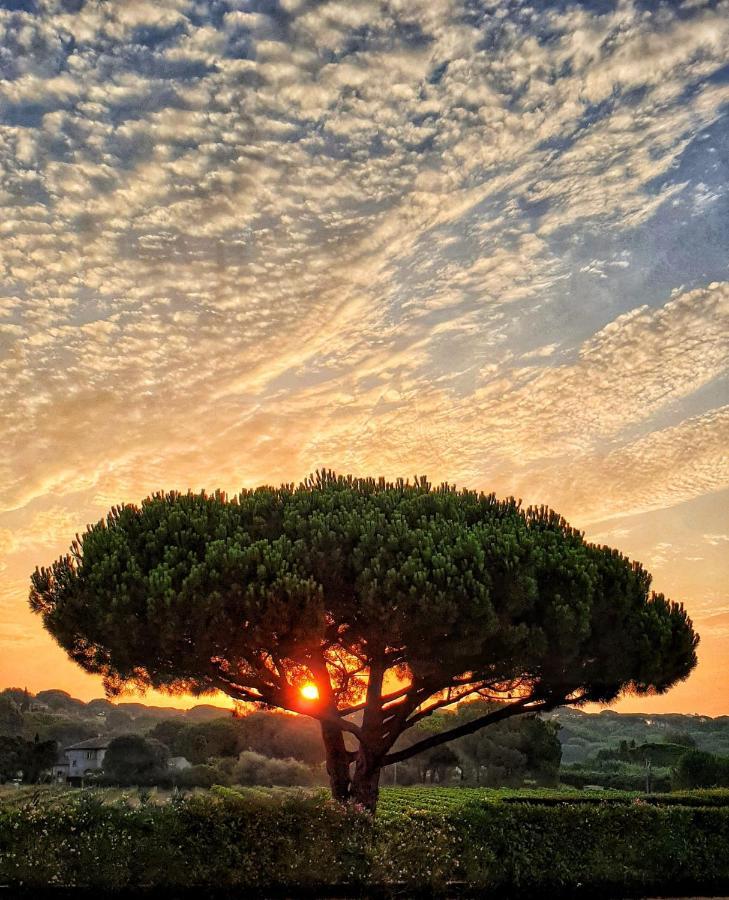 Villa Alba Saint-Tropez Luaran gambar