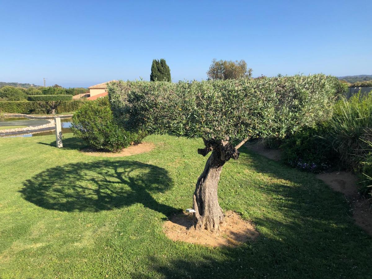 Villa Alba Saint-Tropez Luaran gambar